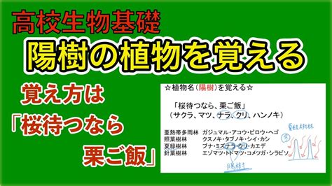 陽樹 陰樹 一覧 生物基礎|「高校生物基礎」植物の名前一覧シート（植生の多様性と分布）